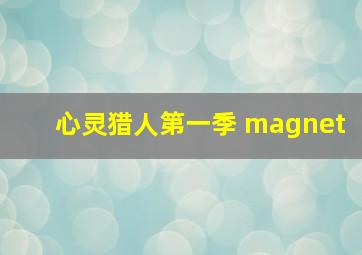 心灵猎人第一季 magnet